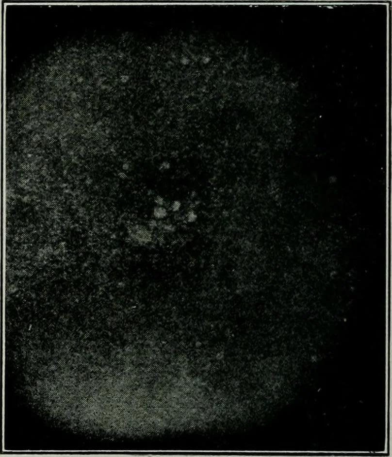An illustration from Journal, 1917, leaf 197