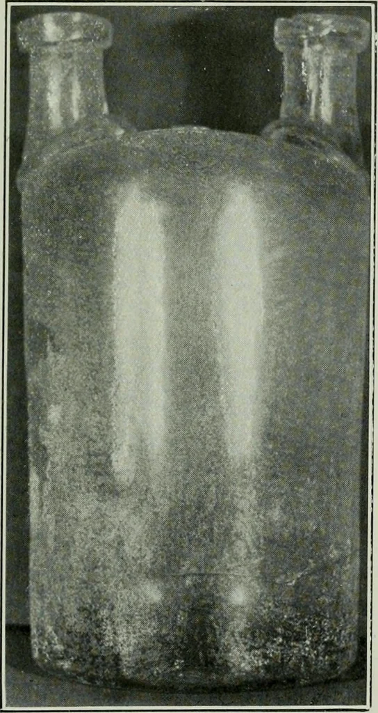 An illustration from Journal, 1917, leaf 318