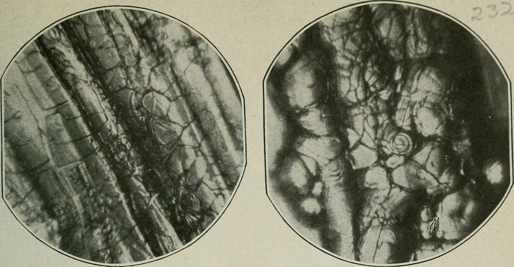 An illustration from Journal, 1917, leaf 324