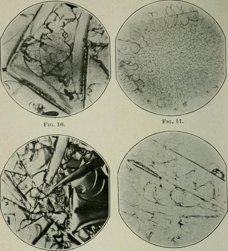 An illustration from Journal, 1917, leaf 325