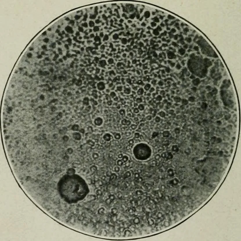 An illustration from Journal, 1917, leaf 325