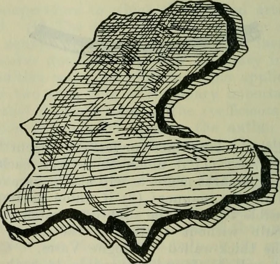 An illustration from Journal, 1917, leaf 549