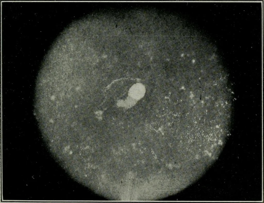An illustration from Journal, 1917, leaf 222