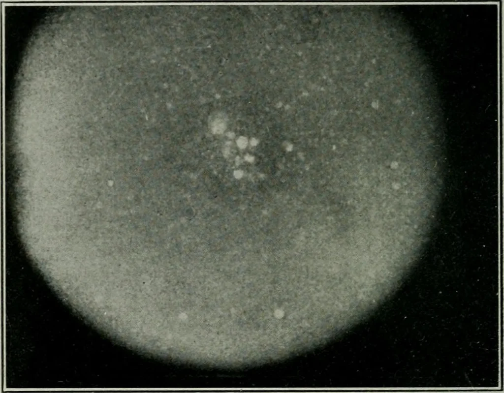 An illustration from Journal, 1917, leaf 223