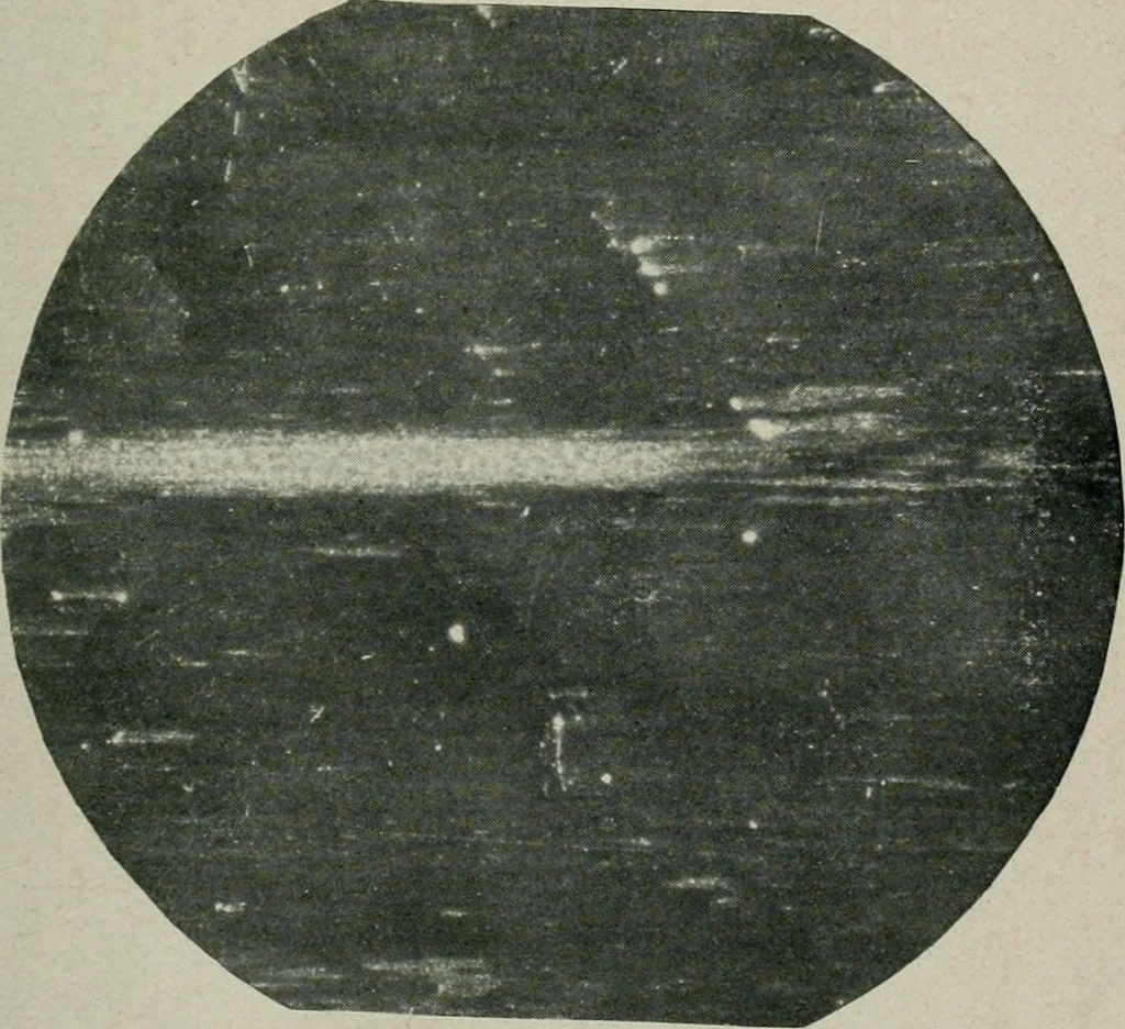 An illustration from Journal, 1917, leaf 364