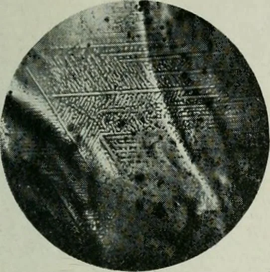 An illustration from Journal, 1917, leaf 428