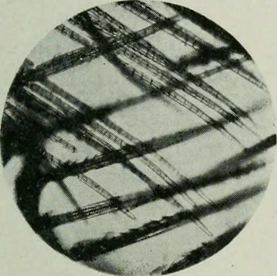 An illustration from Journal, 1917, leaf 428