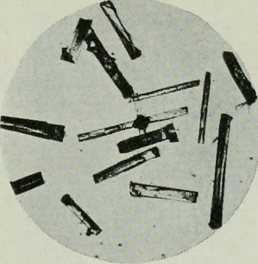 An illustration from Journal, 1917, leaf 428