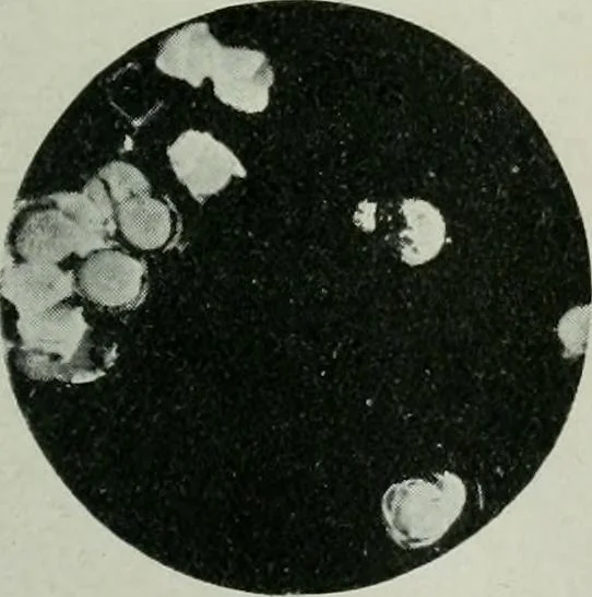 An illustration from Journal, 1917, leaf 428