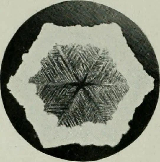 An illustration from Journal, 1917, leaf 429