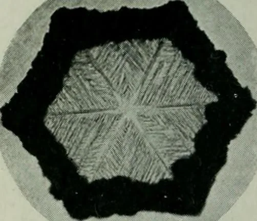 An illustration from Journal, 1917, leaf 429