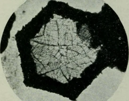 An illustration from Journal, 1917, leaf 429