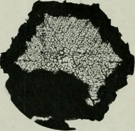 An illustration from Journal, 1917, leaf 429