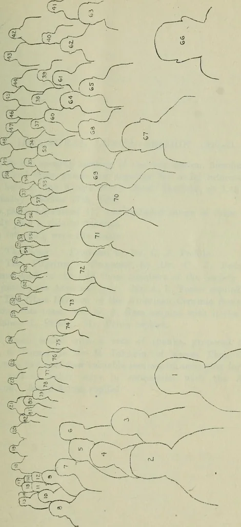 An illustration from Journal, 1917, leaf 50