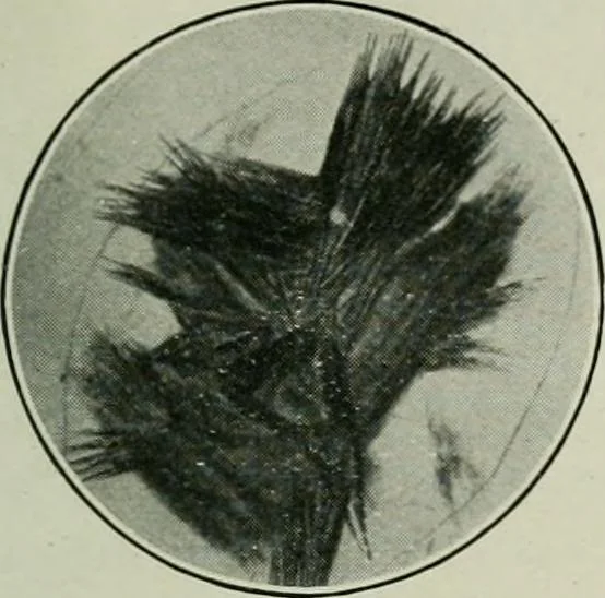 An illustration from Journal, 1917, leaf 156