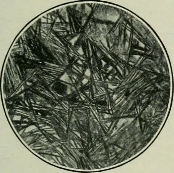 An illustration from Journal, 1917, leaf 156