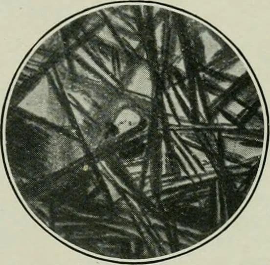 An illustration from Journal, 1917, leaf 156