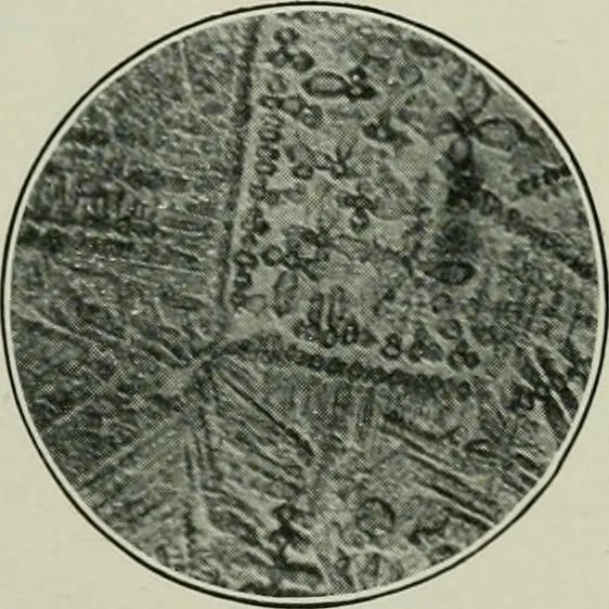 An illustration from Journal, 1917, leaf 156