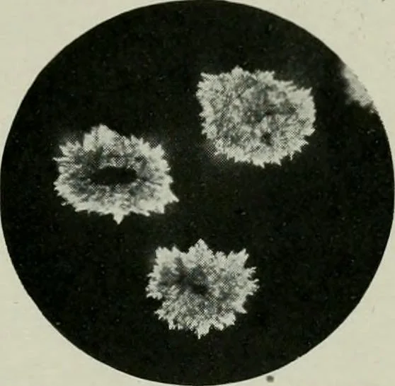 An illustration from Journal, 1917, leaf 310