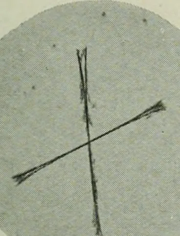 An illustration from Journal, 1917, leaf 310