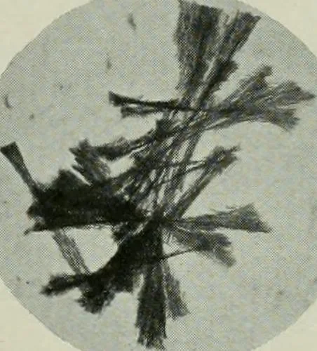 An illustration from Journal, 1917, leaf 310