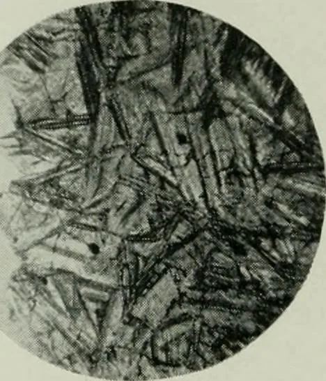 An illustration from Journal, 1917, leaf 311
