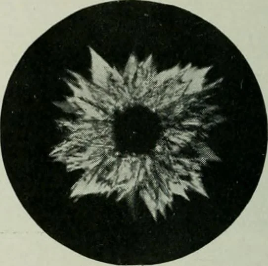 An illustration from Journal, 1917, leaf 311