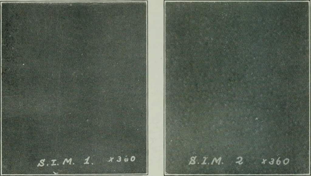 An illustration from Journal, 1917, leaf 315