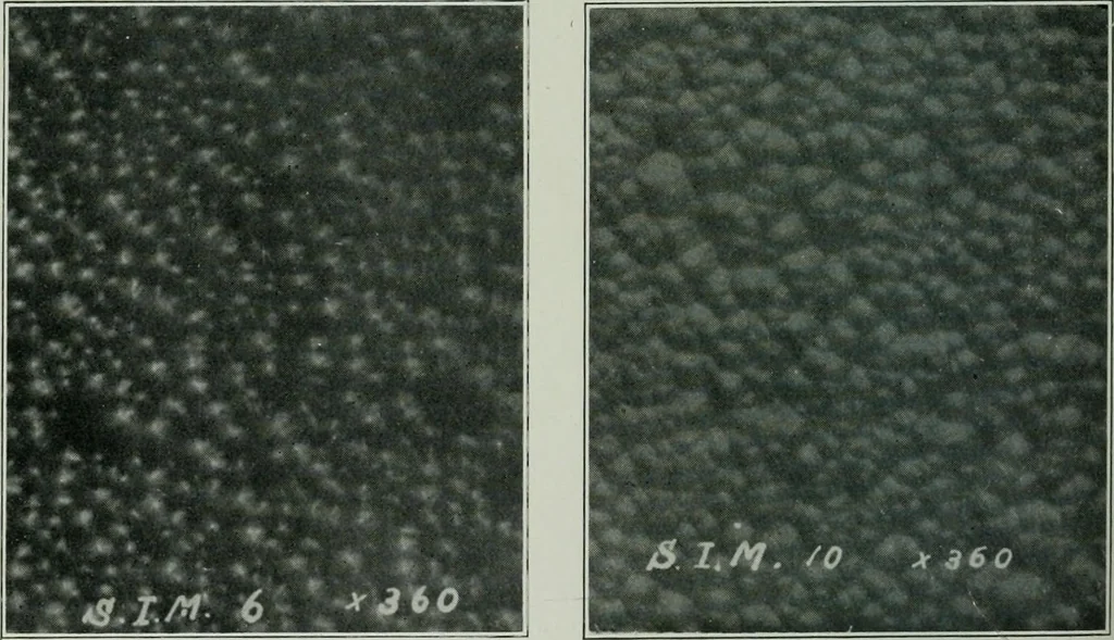 An illustration from Journal, 1917, leaf 315