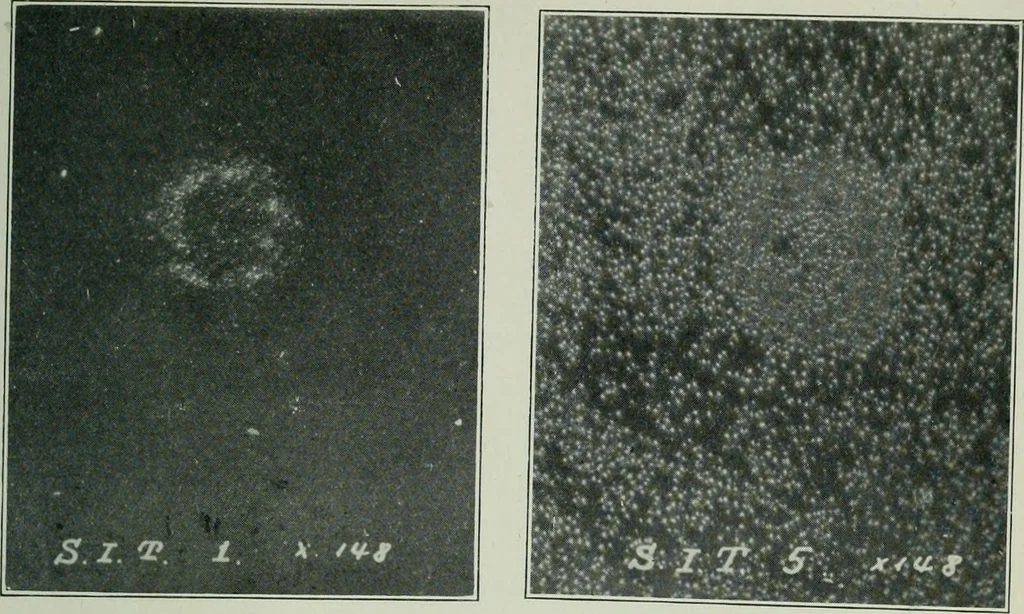 An illustration from Journal, 1917, leaf 318