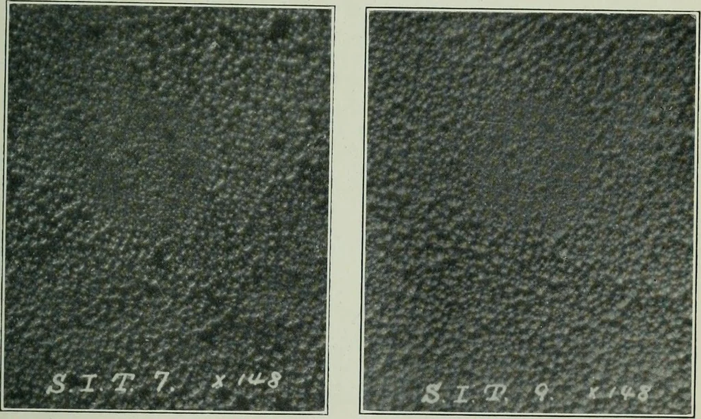 An illustration from Journal, 1917, leaf 318