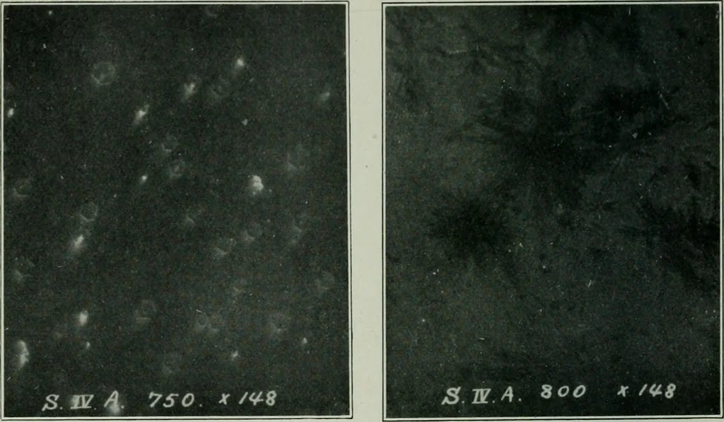An illustration from Journal, 1917, leaf 319