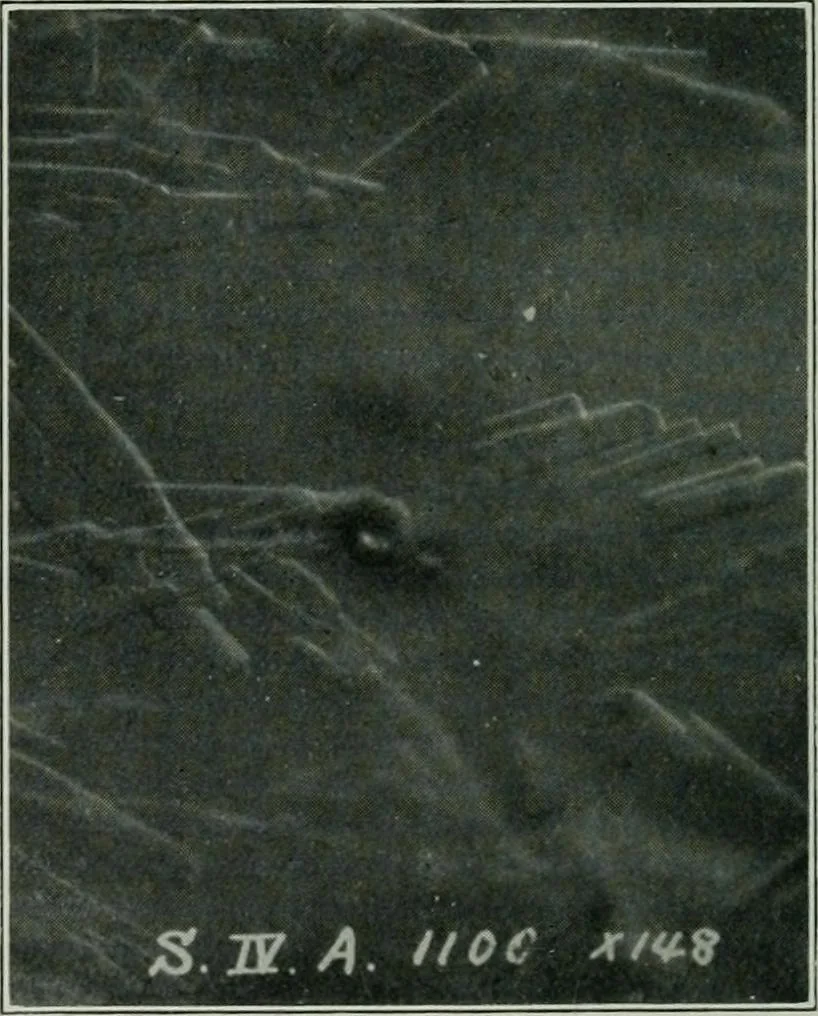 An illustration from Journal, 1917, leaf 319