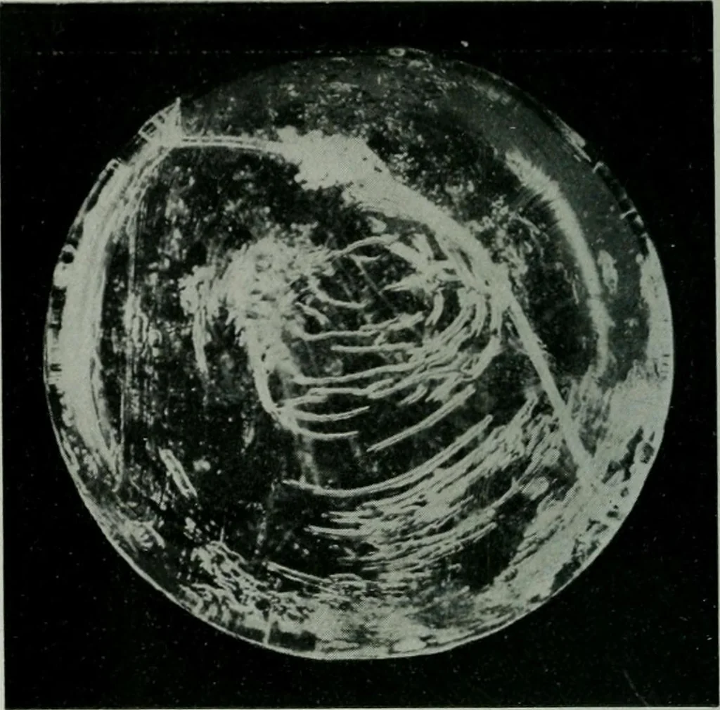 An illustration from Journal, 1917, leaf 385