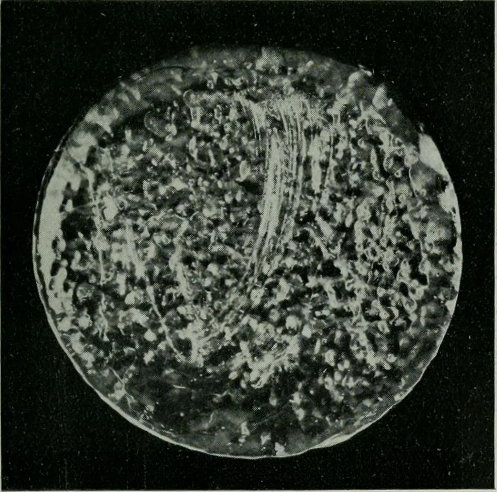 An illustration from Journal, 1917, leaf 386