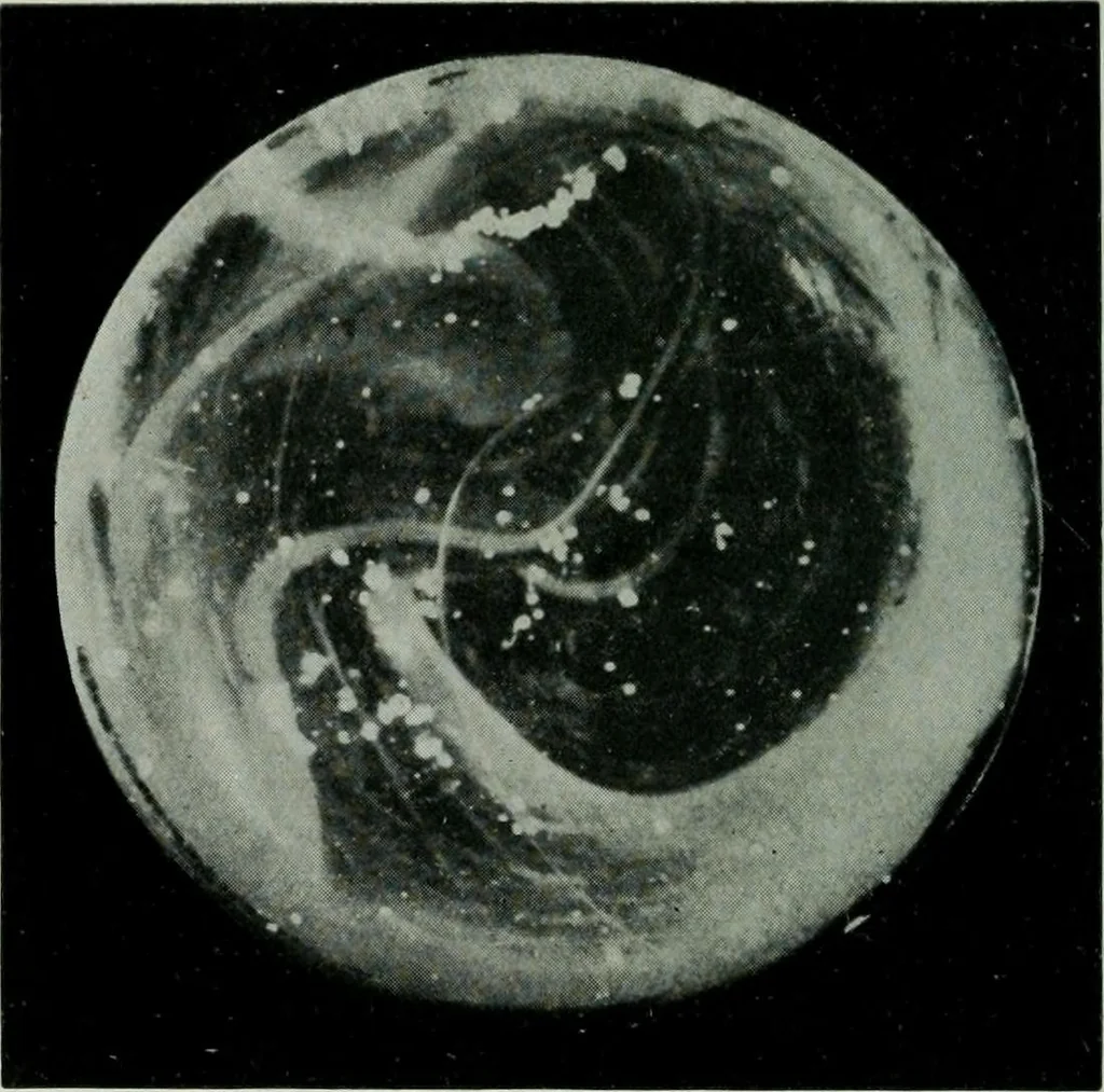 An illustration from Journal, 1917, leaf 389