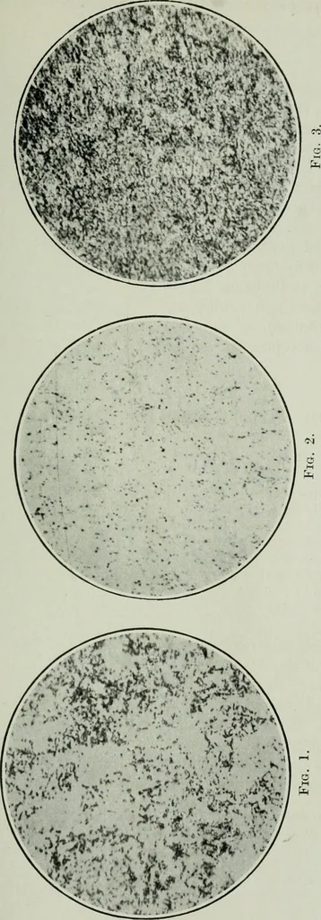 An illustration from Journal, 1917, leaf 246