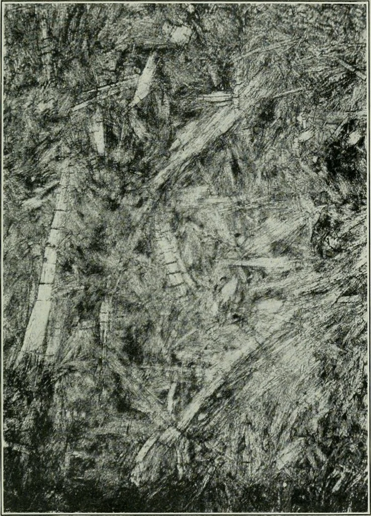 An illustration from Journal, 1917, leaf 354