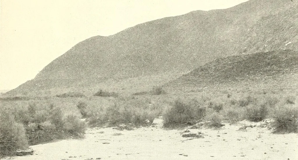 An illustration from The journal of American history, 1909, leaf 126
