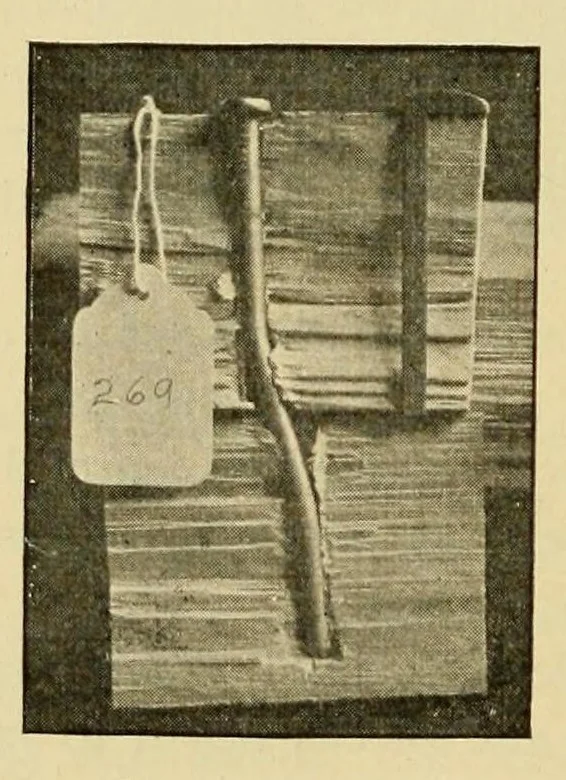 An illustration from Journal of the Association of Engineering Societies, 1881, leaf 308