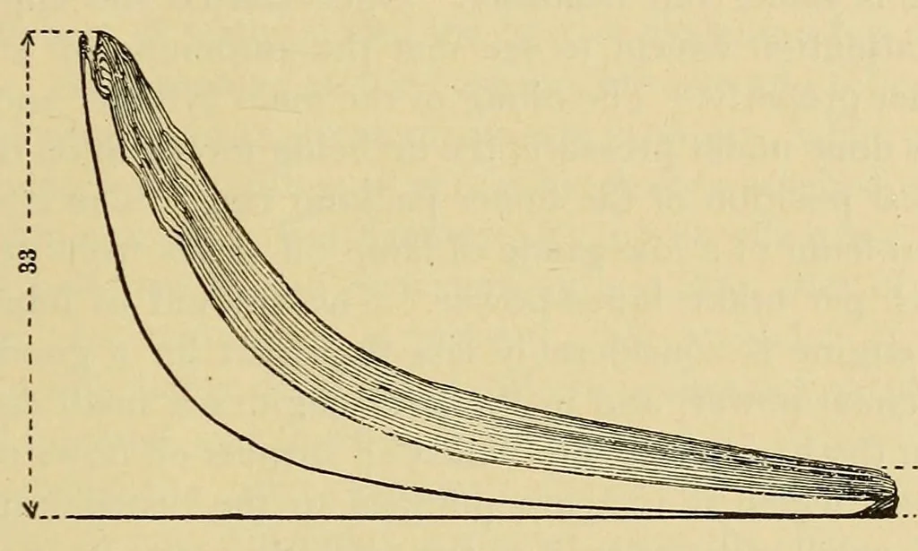 An illustration from Journal of the Association of Engineering Societies, 1881, leaf 111
