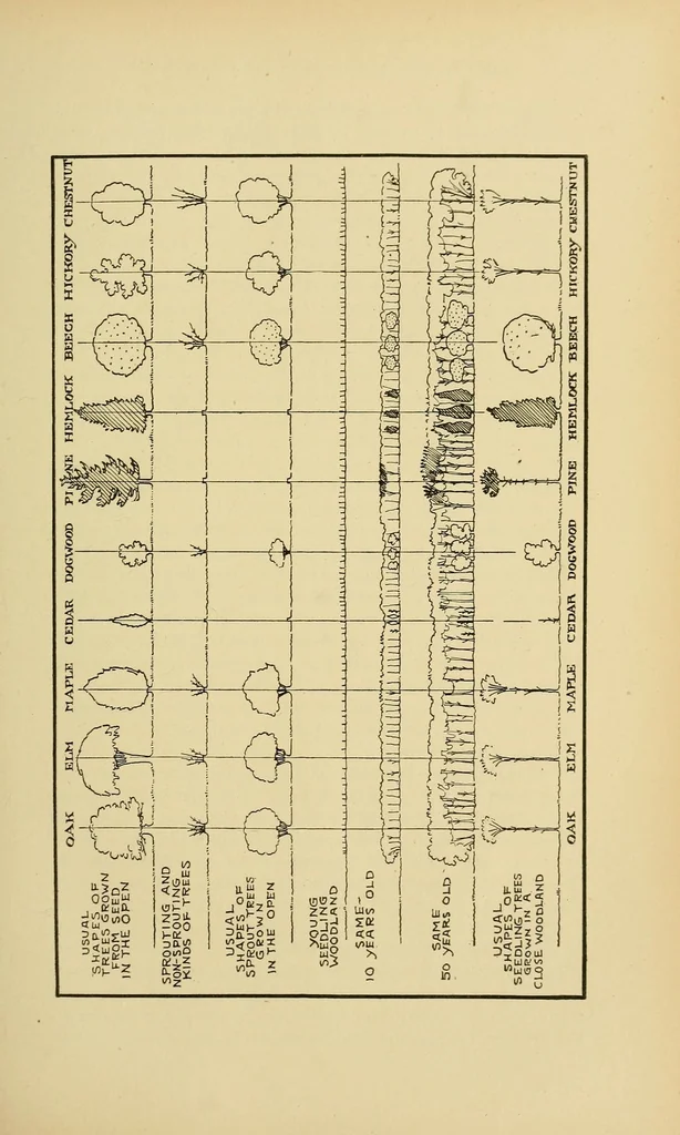 An illustration from Journal of the Association of Engineering Societies, 1881, leaf 111