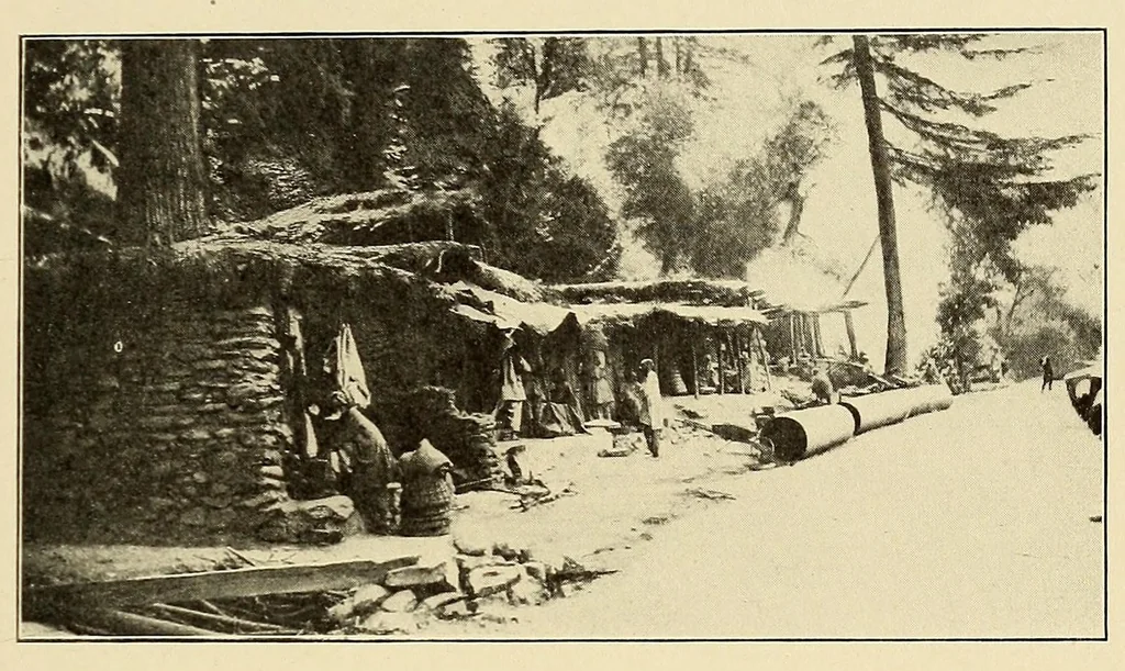 An illustration from Journal of the Association of Engineering Societies, 1881, leaf 203