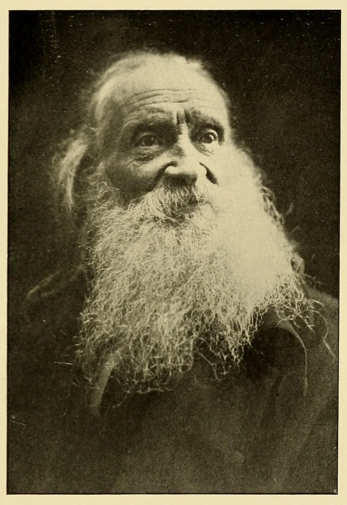 An illustration from Journal of the Association of Engineering Societies, 1881, leaf 251