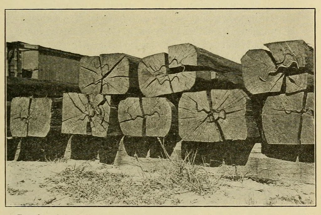 An illustration from Journal of the Association of Engineering Societies, 1881, leaf 129