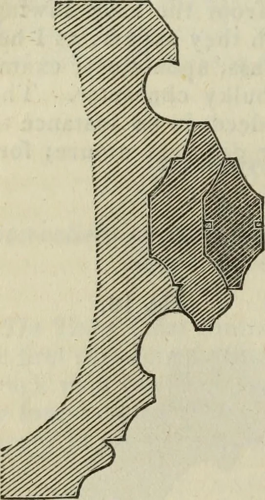 An illustration from Journal of the Franklin Institute; devoted to science and the mechanic arts, 1826, leaf 709