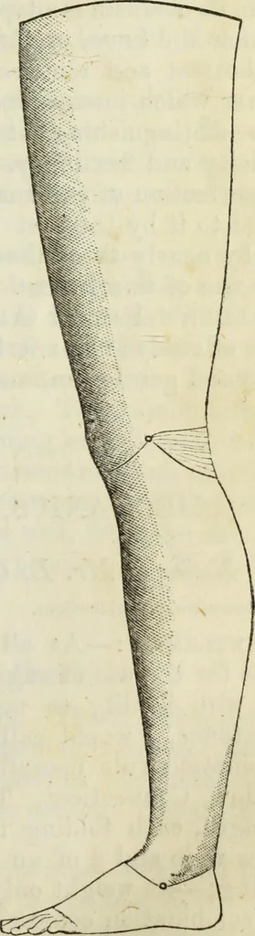 An illustration from Journal of the Franklin Institute; devoted to science and the mechanic arts, 1826, leaf 124