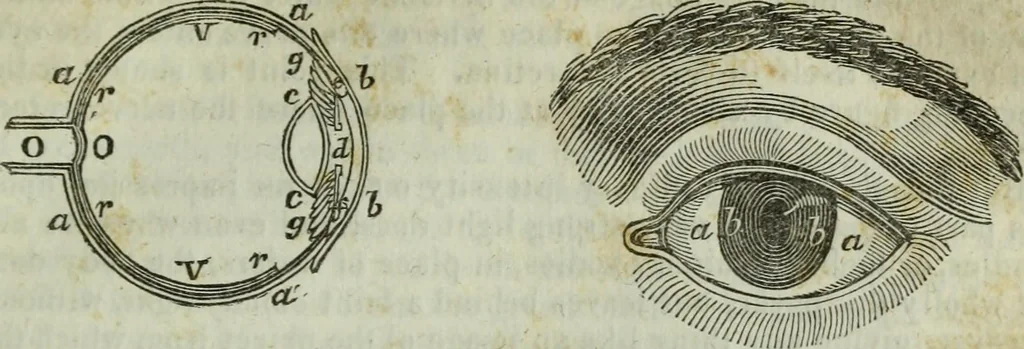 An illustration from Journal of the Franklin Institute; devoted to science and the mechanic arts, 1826, leaf 146