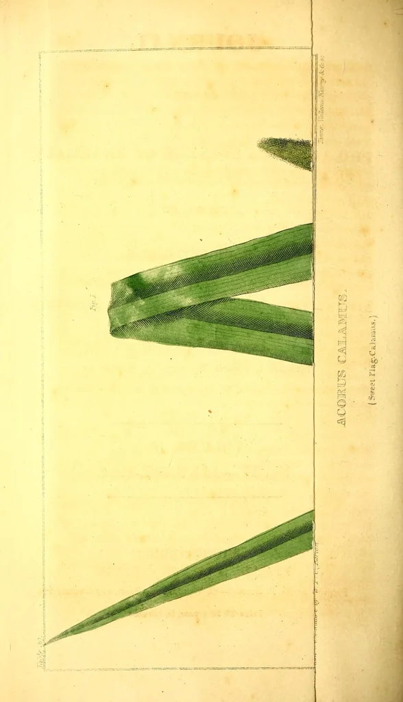 An illustration from Journal of the Philadelphia College of Pharmacy, 1829, leaf 288