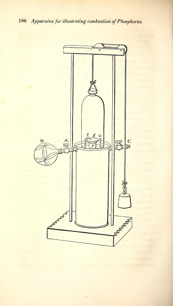 An illustration from Journal of the Philadelphia College of Pharmacy, 1829, leaf 206